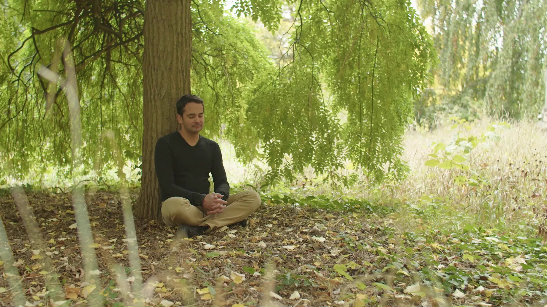 Guillaume, assis en tailleur au pied d'un saule, les yeux fermés.