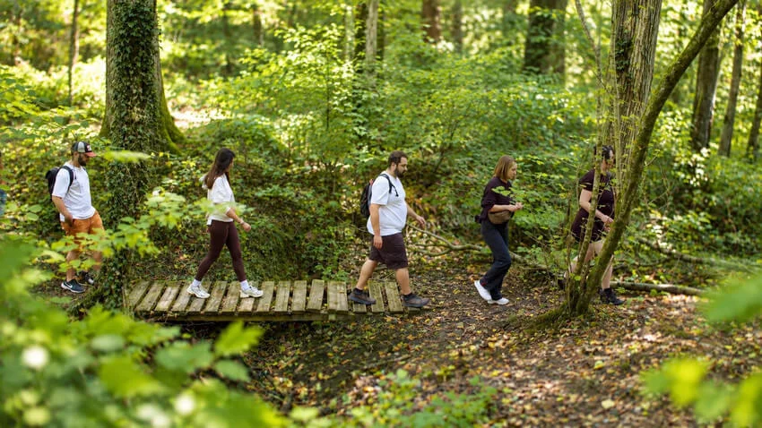 Des participants traversent une passerelle de bois en forêt.