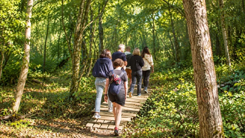 Le groupe immergé dans une forêt lumineuse.