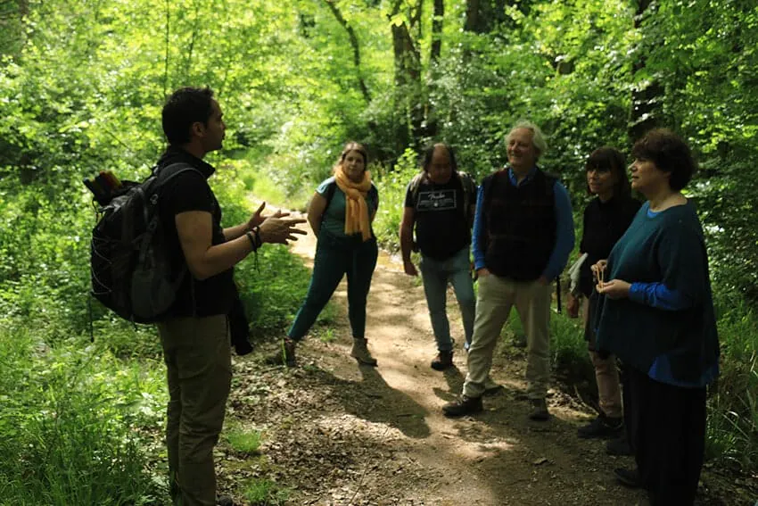 Le groupe à l'écoute sur un sentier de forêt.