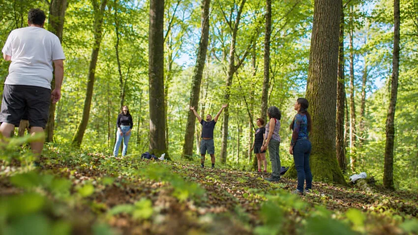 Un groupe de participants en forêt, l'un d'eux les bras levés vers la canopée.